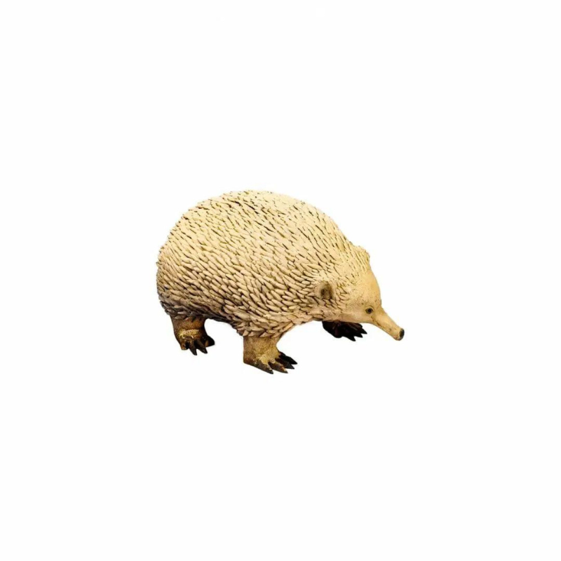 Echidna