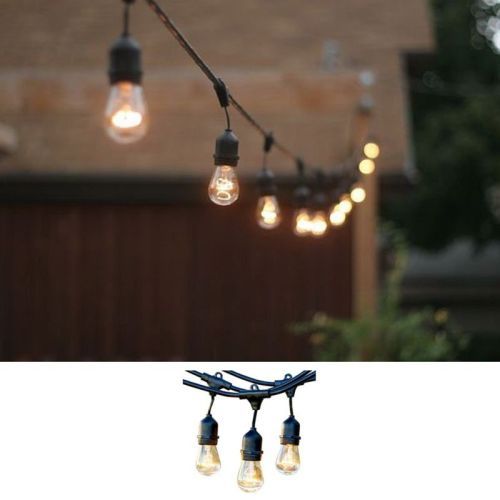 festoon string lights vintage style