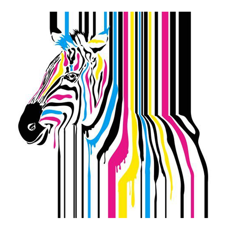 Zebra Backdrop Hire Melbourne Feel Good Events